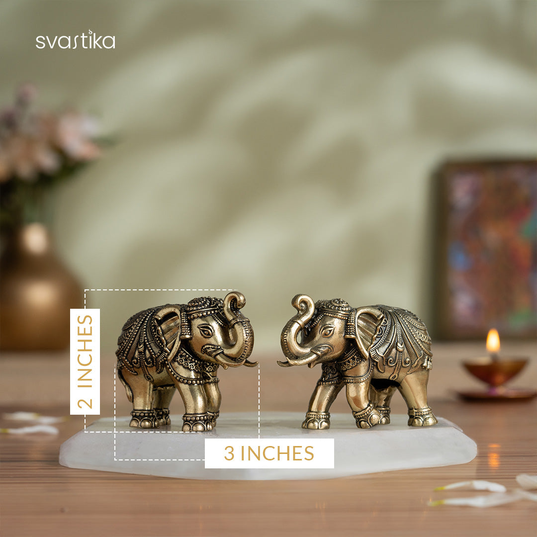 Brass Vastu Trunk Up Brass Elephant Statue Pair (2 Inch)